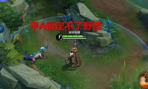 王者最新bug爆料,揭秘游戏漏洞，体验前所未有的游戏乐趣