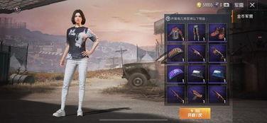 未来军需新爆料最新消息,揭秘新型军事装备与战略布局